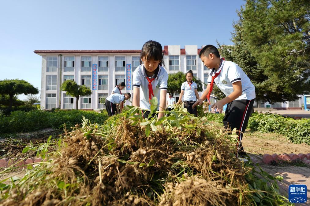 皇冠信誉平台